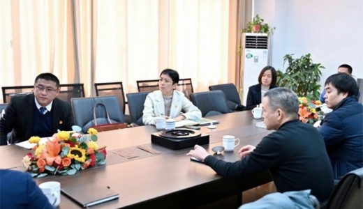 歡迎縣委常委、組織部長王芳赴帥鋒開展走訪調(diào)研活動